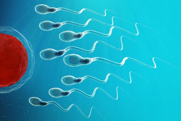 Sperma intorno alla cellula uovo. illustrazione 3D. Su sfondo blu