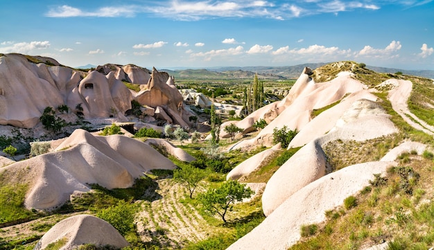 Spettacolare paesaggio della cappadocia in turchia