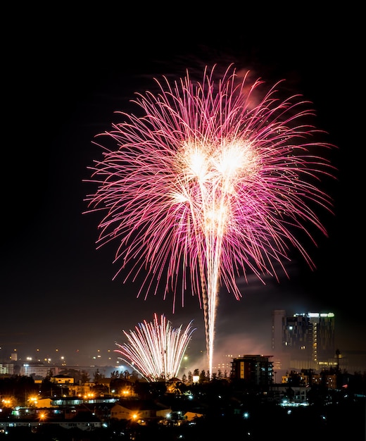 Spettacolo di fuochi d'artificio di notte