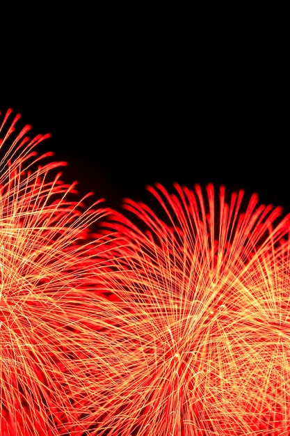 Spettacolo di fuochi d'artificio illuminato contro il cielo notturno