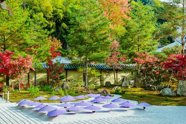 Spettacolo di giardino zen e ombrellone in Giappone.