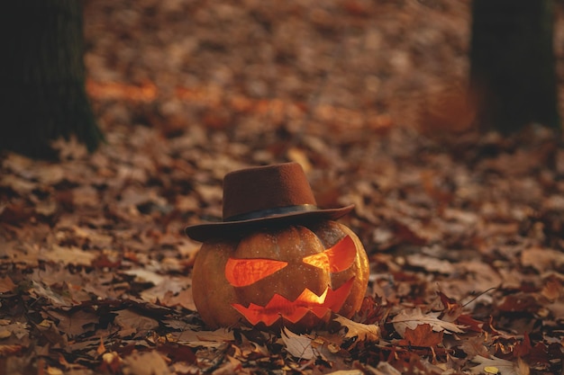 Spettrale Jack o lanterna in cappello in foglie autunnali nella lunatica foresta oscura Buon Halloween Spaventoso Halloween atmosferico Zucca scolpita nei boschi autunnali della sera Boo Horror tempo Copia spazio