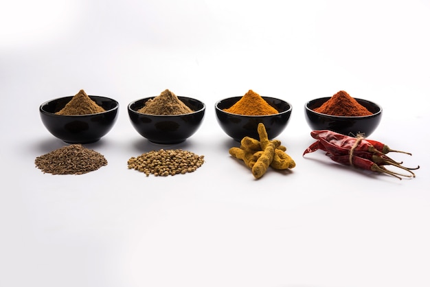 Spezie colorate indiane. Foto di gruppo di quattro spezie indiane di base come peperoncino rosso crudo, curcuma, coriandolo e cumino in polvere. messa a fuoco selettiva