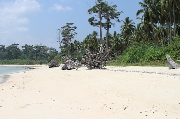 Spiagge delle Andamane