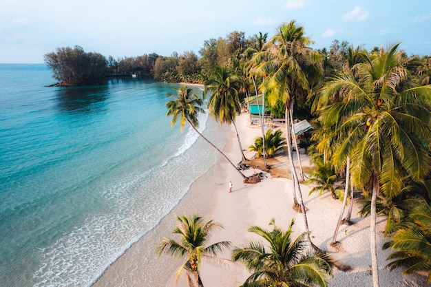Spiaggia aerea e alberi di cocco su un'isola tranquilla al mattino