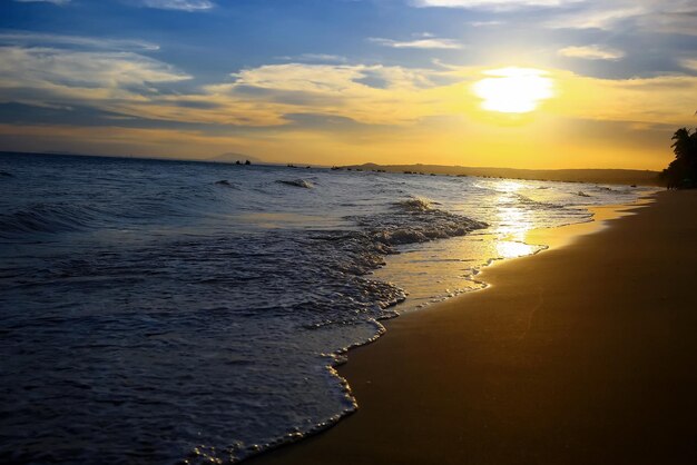 Spiaggia ai tropici