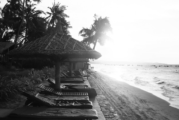 Spiaggia ai tropici