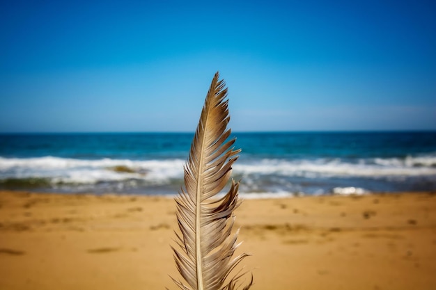 Spiaggia al mattino