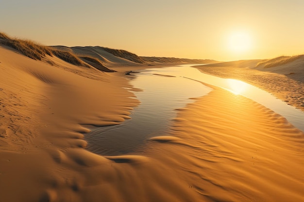 Spiaggia all'alba dune dorate e mare sereno generativo IA