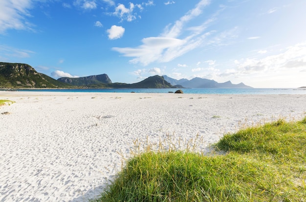 Spiaggia alle Lofoten