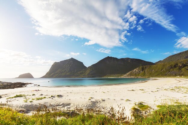 Spiaggia alle Lofoten