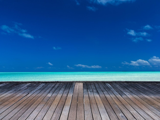 Spiaggia alle Maldive con poche palme e laguna bluxAxA