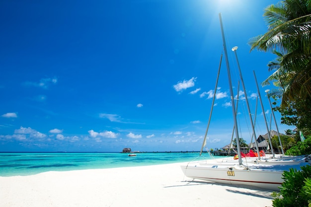 Spiaggia alle Maldive