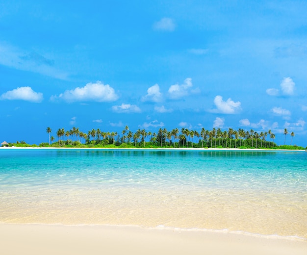 Spiaggia alle Maldive