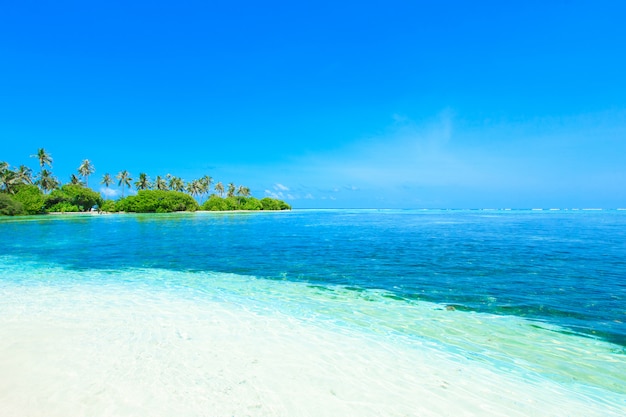 Spiaggia alle Maldive