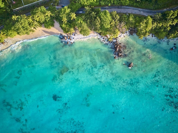 Spiaggia alle Seychelles vista aerea dall'alto