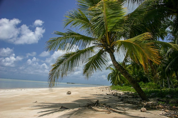 Spiaggia Alusinante