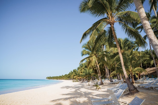 Spiaggia appartata sull'isola di Saona La Romana Repubblica Dominicana