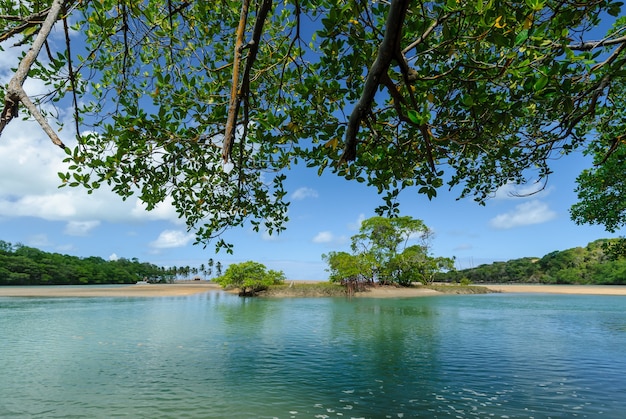 Spiaggia brasiliana e angrovie a Barra de Camaratuba Beach vicino a Joao Pessoa Paraiba Brazil