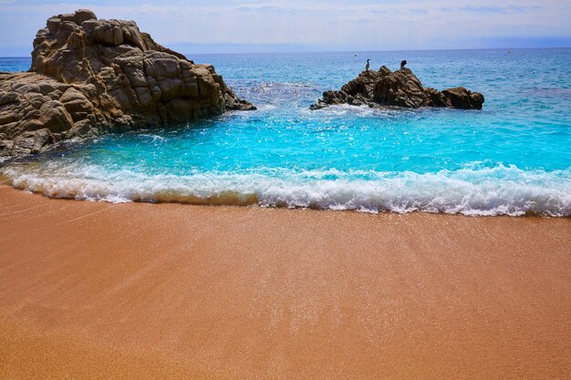 Spiaggia Cala Sa Boadella Platja a Lloret de Mar