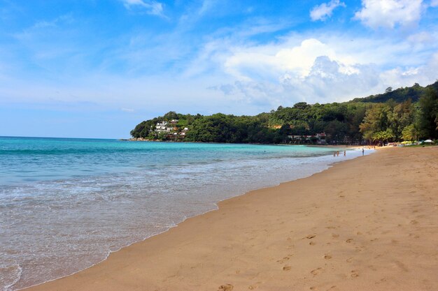 Spiaggia calda con palme, sabbia e onde vacanze paradisiache in riva al mare