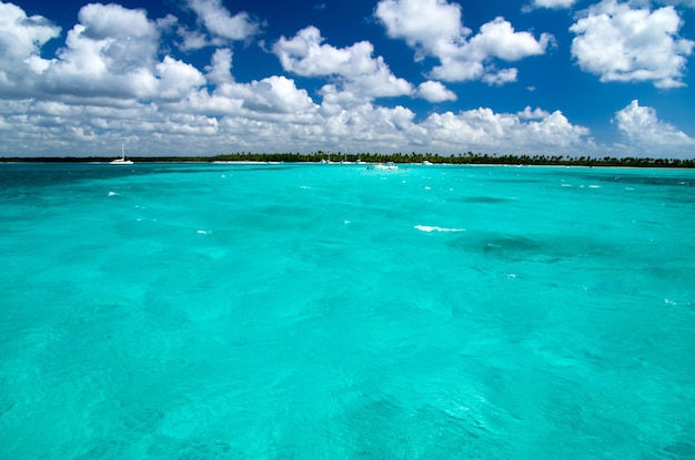 Spiaggia caraibica chiara e mare tropicale