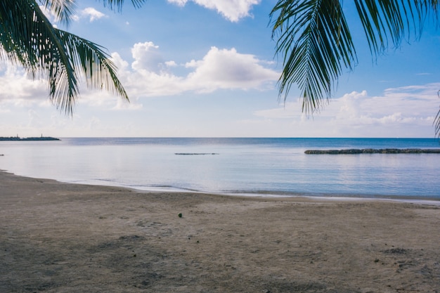 Spiaggia caraibica con acqua blu