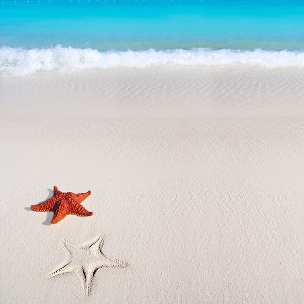 spiaggia caraibica della spiaggia tropicale del turchese della sabbia