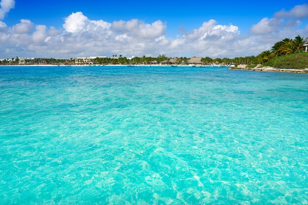 Spiaggia caraibica di Akumal in Riviera Maya