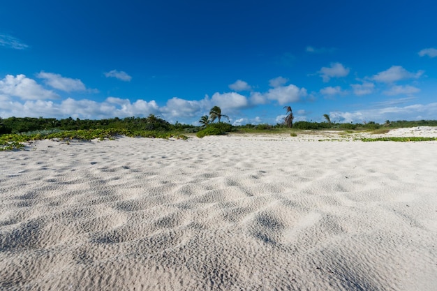 spiaggia caraibica