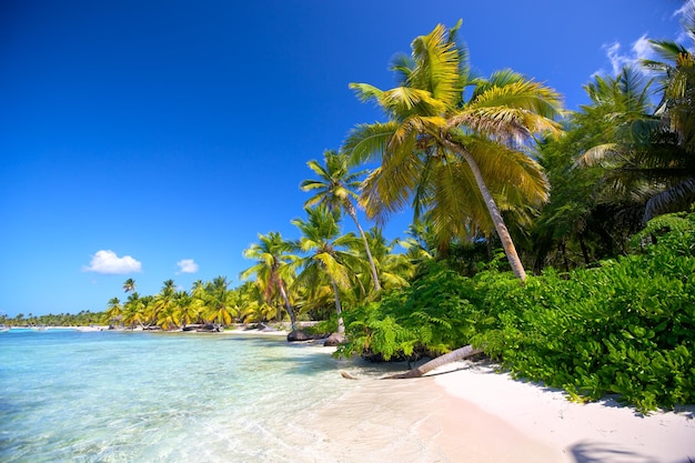 spiaggia caraibica