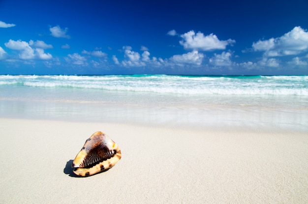 spiaggia caraibica