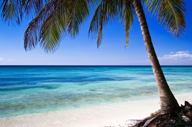 spiaggia caraibica