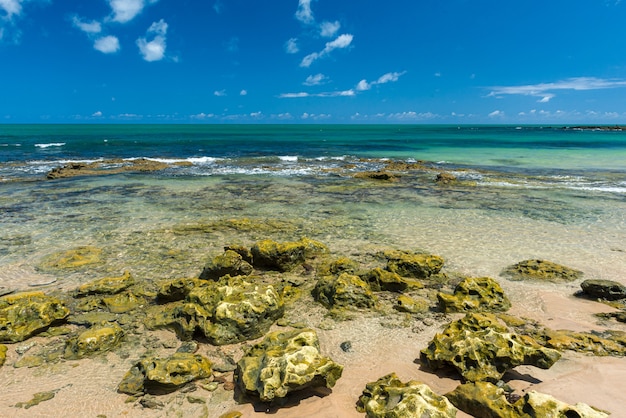 Spiaggia Carapibus, vicino a Joao Pessoa, Conde, Paraiba, Brasile il 27 dicembre 2018.