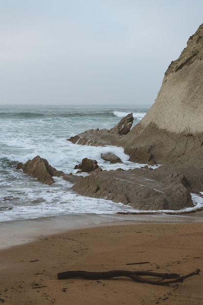 Spiaggia con formazioni rocciose in una giornata nuvolosa con un tronco