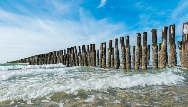 Spiaggia con frangiflutti in legno nel paesaggio marino