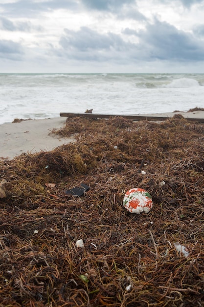 Spiaggia con immondizia e alghe Immondizia di plastica lavata sulla riva dell'oceano o del mare