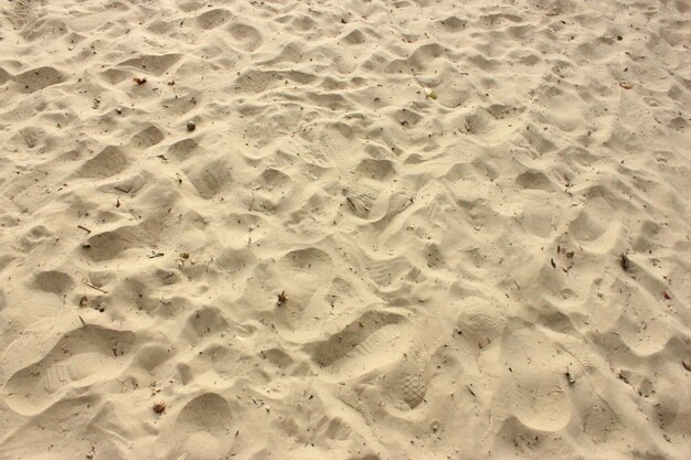 Spiaggia con molte impronte e humus
