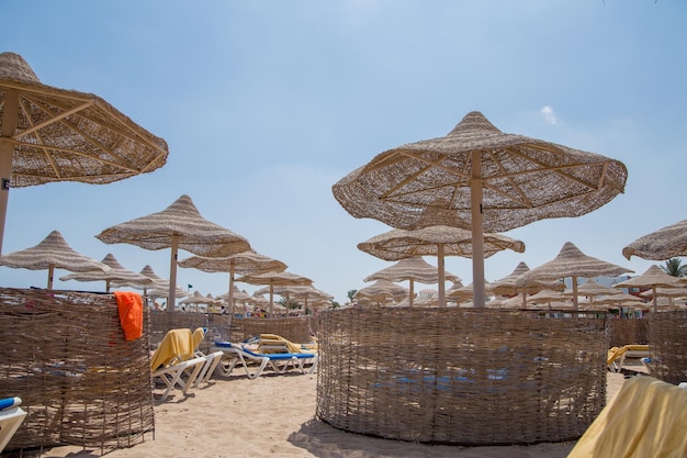 Spiaggia con ombrelloni e lettini in riva al mare