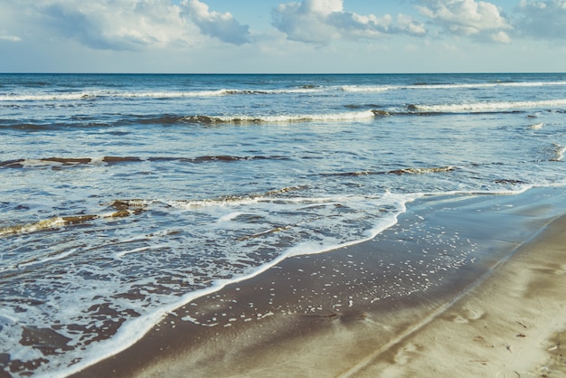 Spiaggia con onde