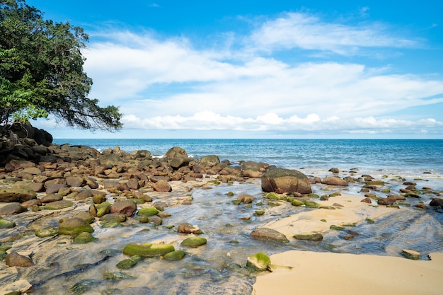 spiaggia con rocce contro il cielo blu minuscolo nuvola.