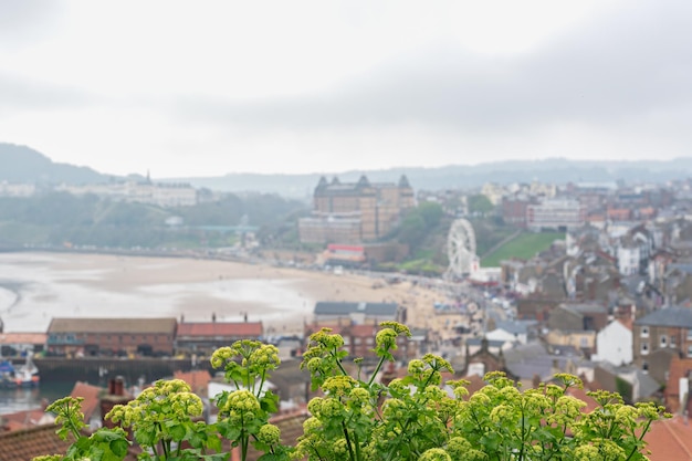 Spiaggia della baia del sud di Scarborough