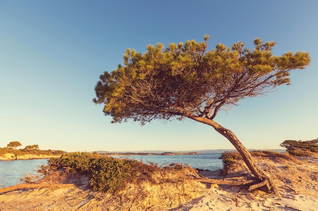 Spiaggia della Grecia