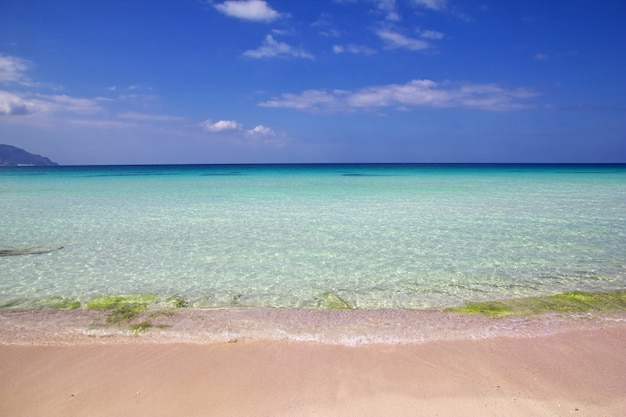 Spiaggia dello Yemen