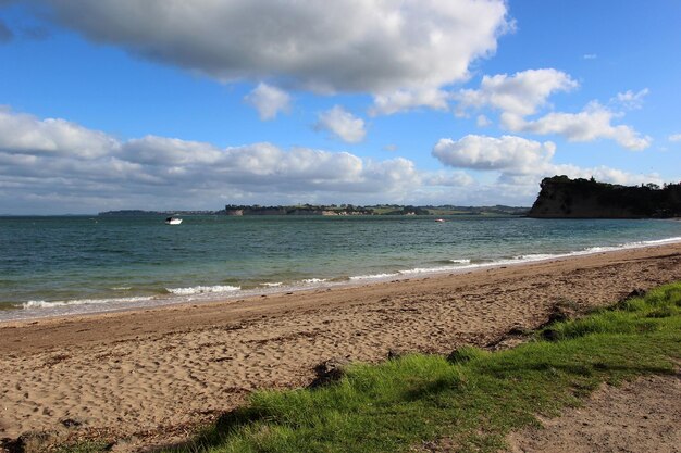 spiaggia di Auckland Nuova Zelanda