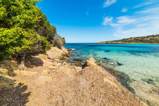 Spiaggia di Cala Granu in Costa Smeralda