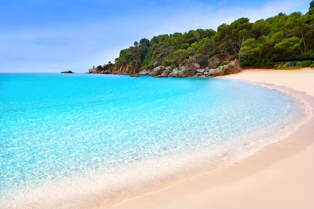 Spiaggia di Cala Treumal Lloret de Mar Costa Brava