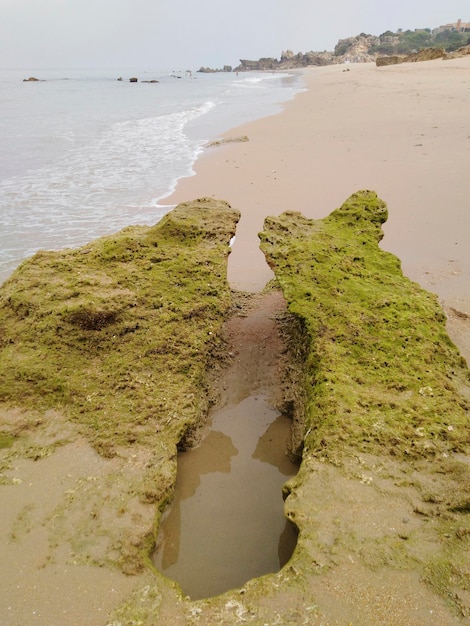 Spiaggia di Conil de la Frontera Costa di Cadice Andalusia Spagna