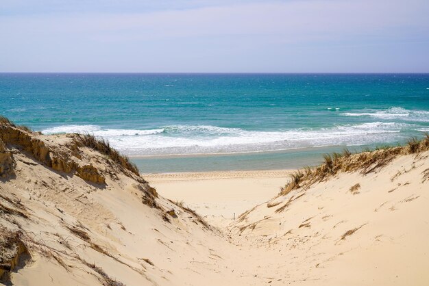 Spiaggia di dune di sabbia della costa atlantica della Francia occidentale con vista sull'orizzonte sabbioso del mare dalla Francia