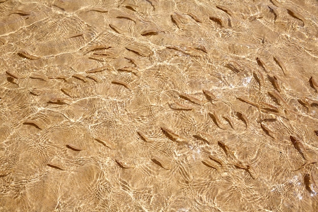 Spiaggia di Jandia Mal Nombre Fuerteventura